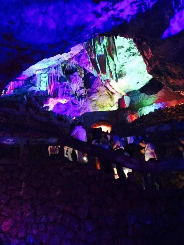 混乱特工