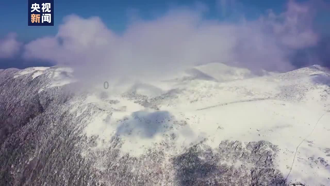 史小坑的爆笑生活10