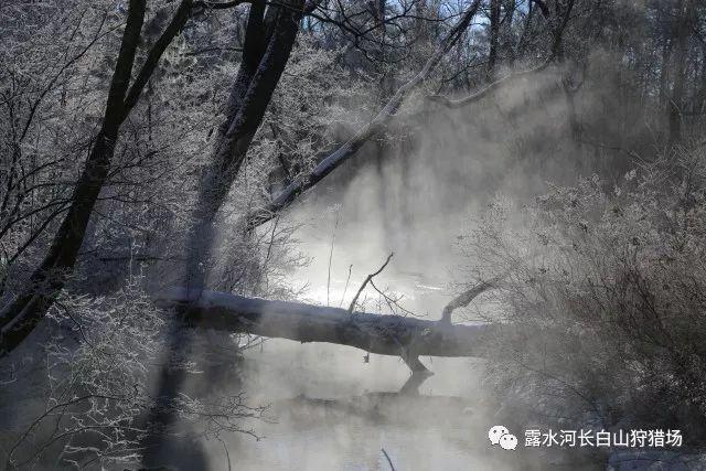 公主的时尚风