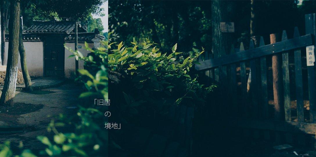 2023年百强房企业绩分化持续,专家:企业已调整姿态,2024年房地产机会仍在
