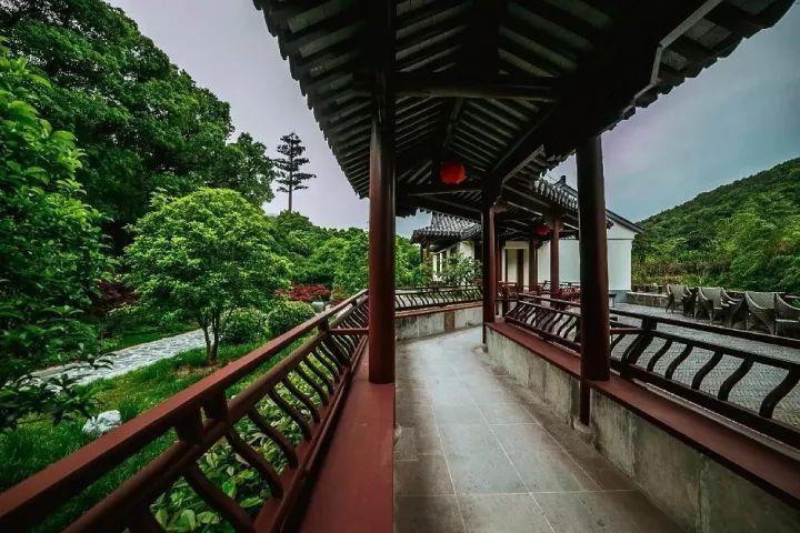 逗小猴开心系列207