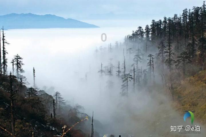 厉害了我的巧虎7