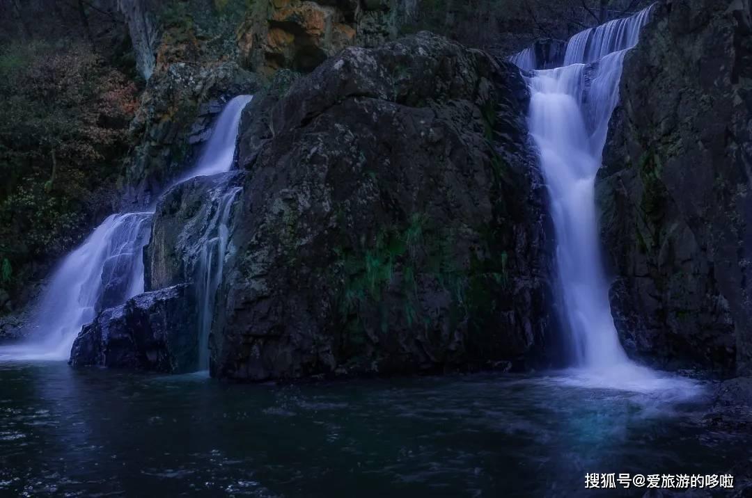 射击红色鸟