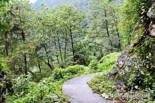 2022年高考志愿最值得报的热门专业有哪些？游戏画面