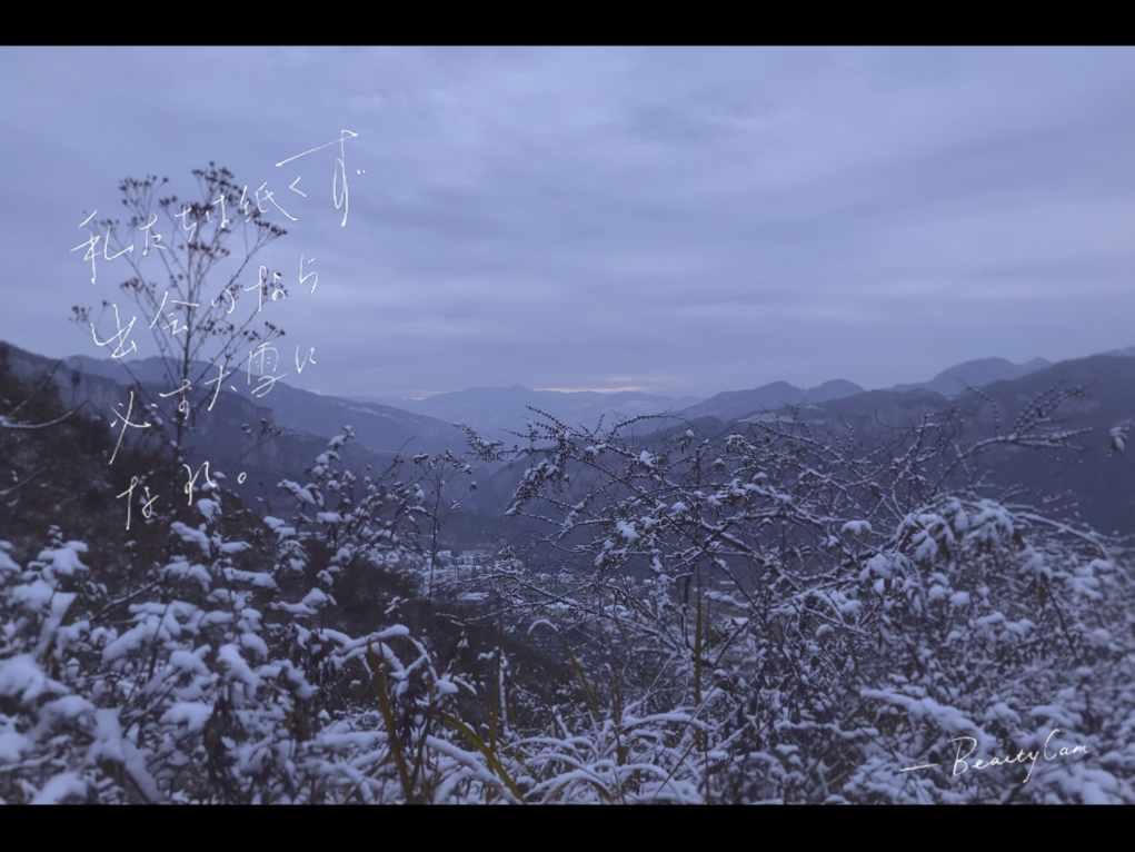 一个人是在顺境中发展好还是在逆境中拼搏强