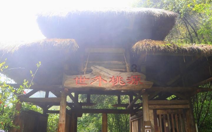 逗小猴开心系列197