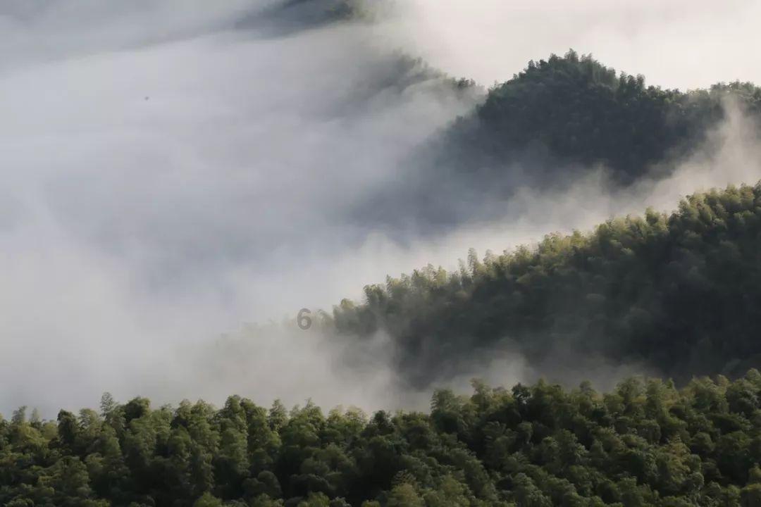 泰坦黎明