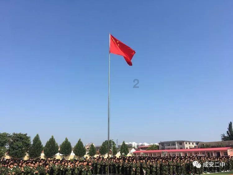 停电了怎么给小太阳鹦鹉保暖一下？游戏画面