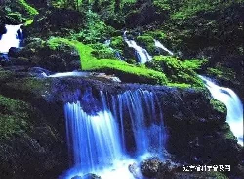 一百年之后