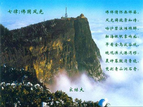 狐狸的旅程