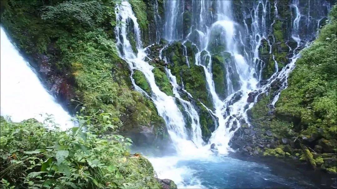 宝可梦探险寻宝