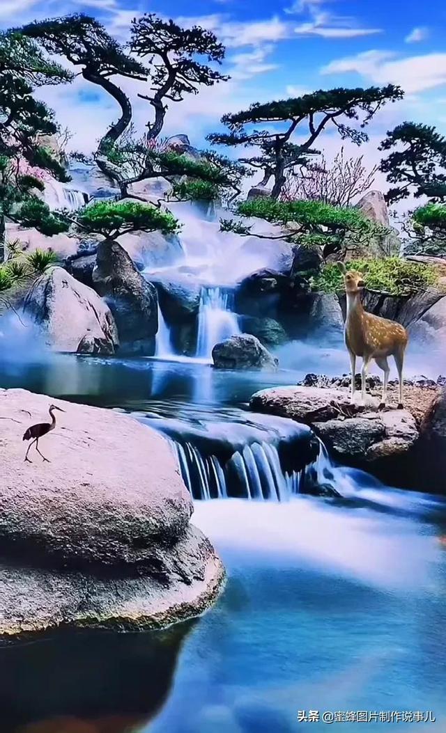 豆娃爱糖果3
