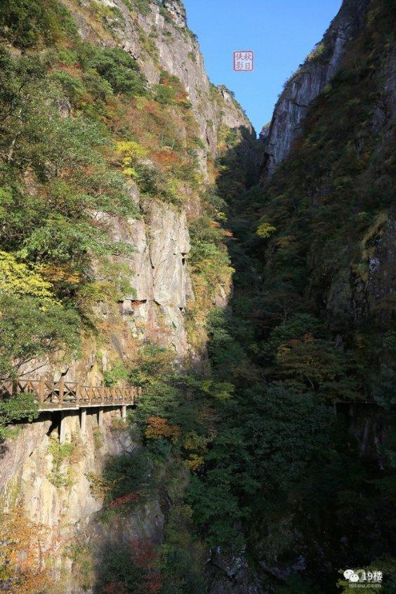 月光影视