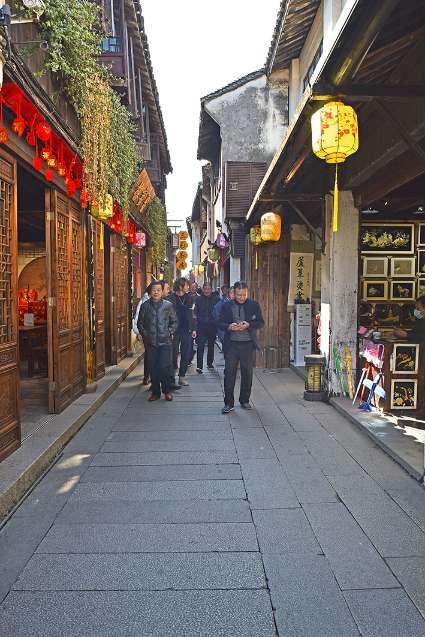 逃离金刚鹦鹉森林