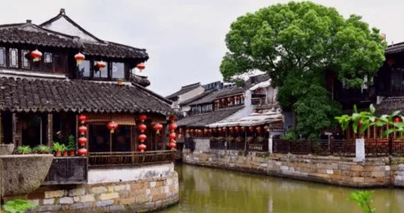 动物帮帮忙保卫家园